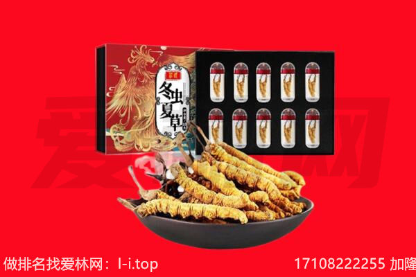 烟台福山区回收虫草.jpg